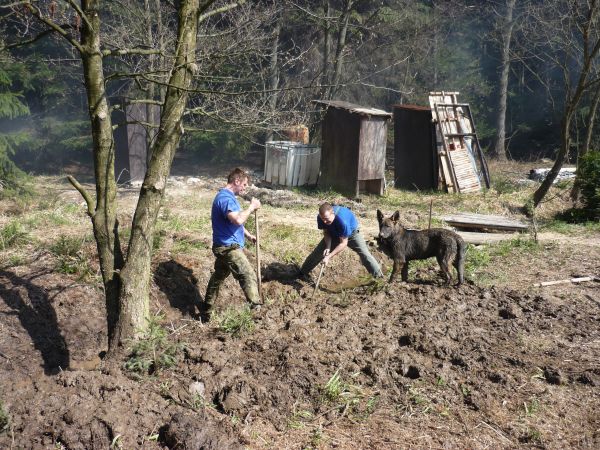 Klikněte pro zobrazení původního (velkého) obrázku