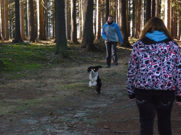 Klikněte pro zobrazení původního (velkého) obrázku