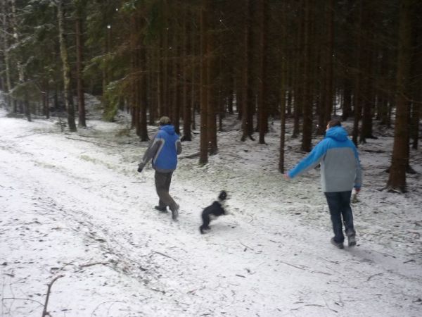Klikněte pro zobrazení původního (velkého) obrázku