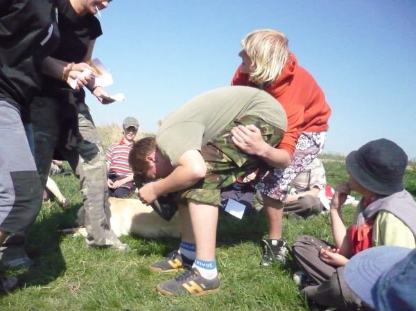 Klikněte pro zobrazení původního (velkého) obrázku