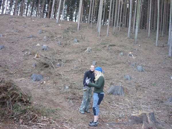 Klikněte pro zobrazení původního (velkého) obrázku