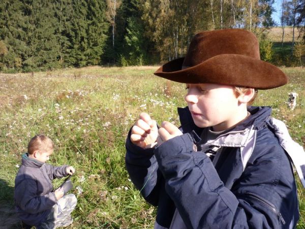 Klikněte pro zobrazení původního (velkého) obrázku