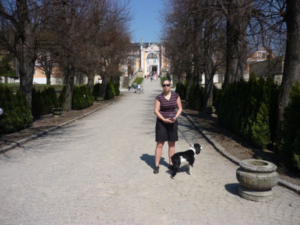 Klikněte pro zobrazení původního (velkého) obrázku