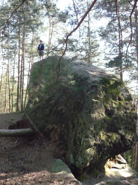Klikněte pro zobrazení původního (velkého) obrázku