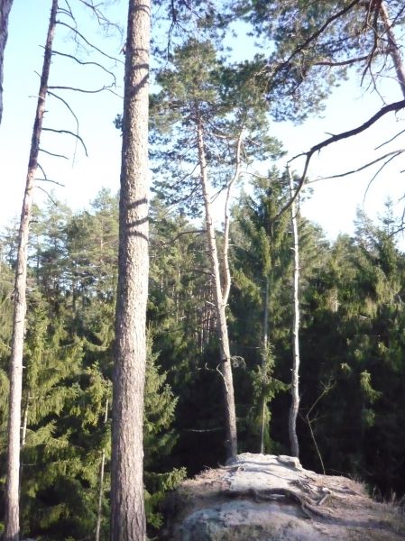 Klikněte pro zobrazení původního (velkého) obrázku