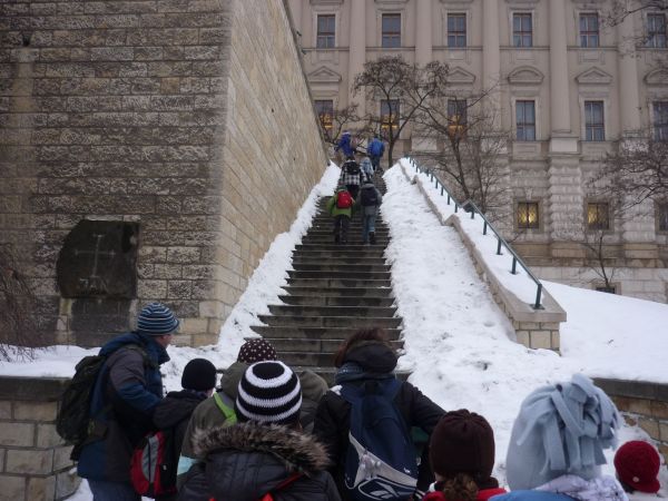 Klikněte pro zobrazení původního (velkého) obrázku