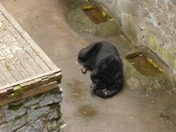 Klikněte pro zobrazení původního (velkého) obrázku