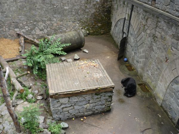 Klikněte pro zobrazení původního (velkého) obrázku