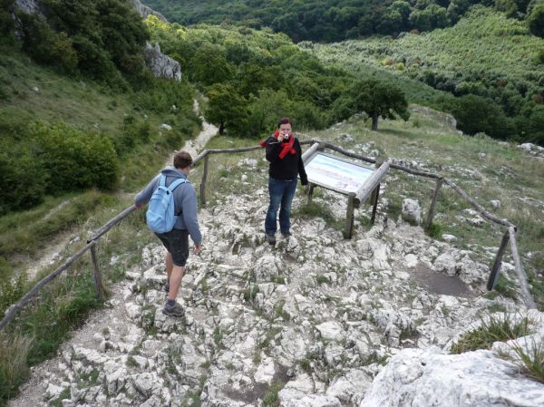 Klikněte pro zobrazení původního (velkého) obrázku