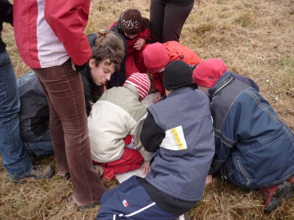 Klikněte pro zobrazení původního (velkého) obrázku