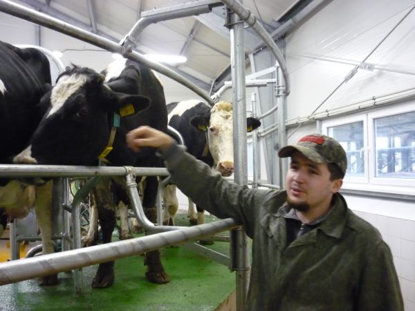 Klikněte pro zobrazení původního (velkého) obrázku