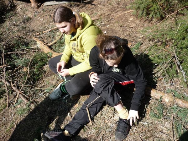 Klikněte pro zobrazení původního (velkého) obrázku