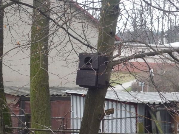 Klikněte pro zobrazení původního (velkého) obrázku