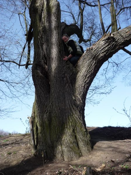 Klikněte pro zobrazení původního (velkého) obrázku