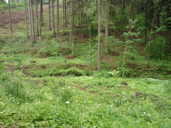 Klikněte pro zobrazení původního (velkého) obrázku