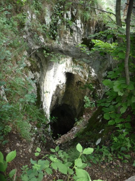 Klikněte pro zobrazení původního (velkého) obrázku