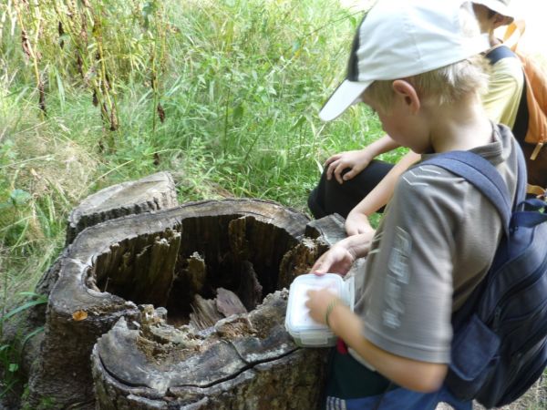 Klikněte pro zobrazení původního (velkého) obrázku