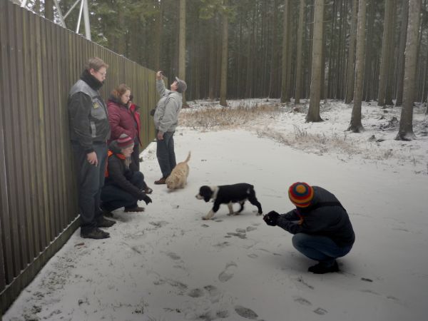 Klikněte pro zobrazení původního (velkého) obrázku