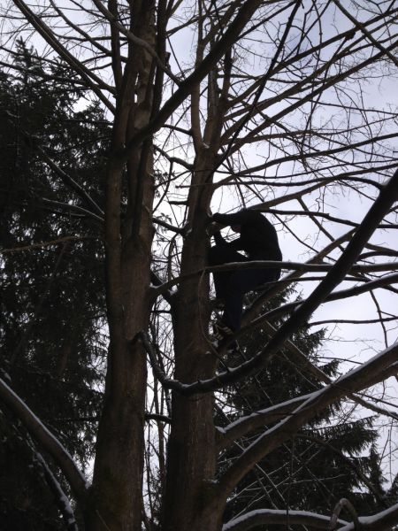 Klikněte pro zobrazení původního (velkého) obrázku