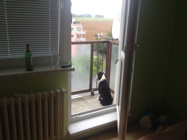 Klikněte pro zobrazení původního (velkého) obrázku