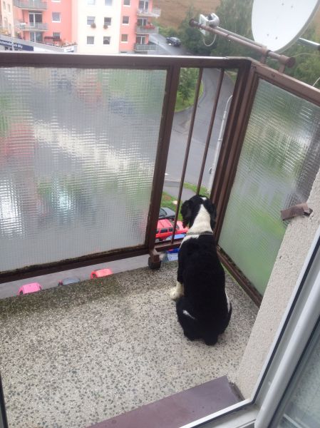 Klikněte pro zobrazení původního (velkého) obrázku