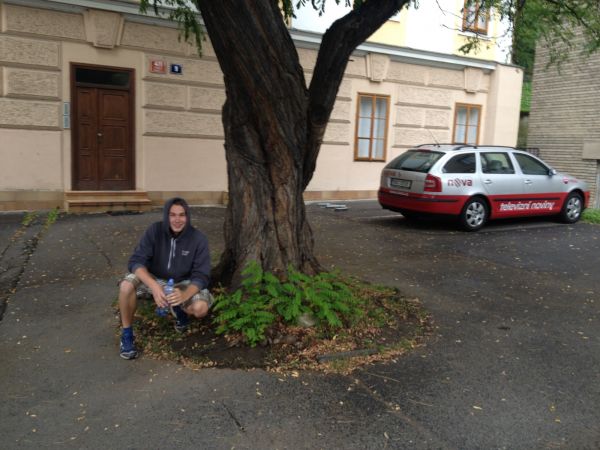 Klikněte pro zobrazení původního (velkého) obrázku